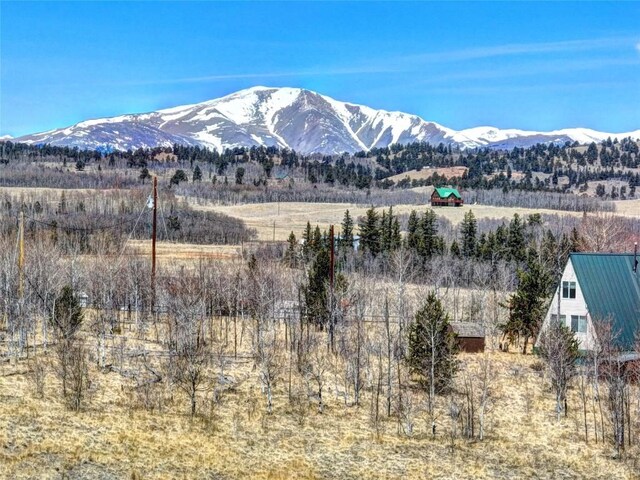 64 Colt Ln, Como, CO 80432