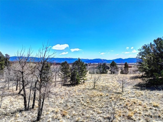 64 Colt Ln, Como, CO 80432