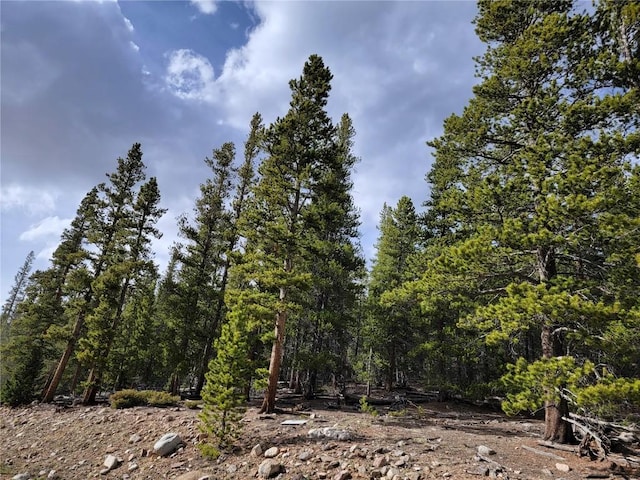 441 Gold Trail Trl, Fairplay, CO 80440
