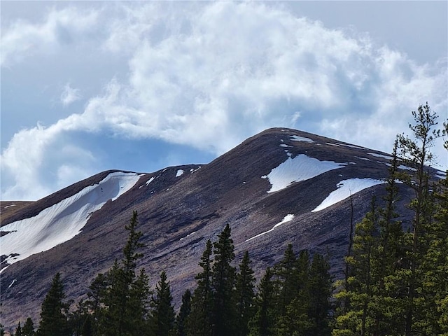 441 Gold Trail Trl, Fairplay, CO 80440