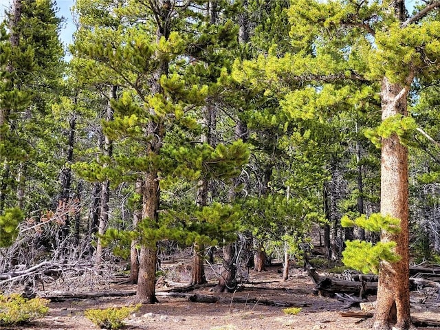 441 Gold Trail Trl, Fairplay, CO 80440