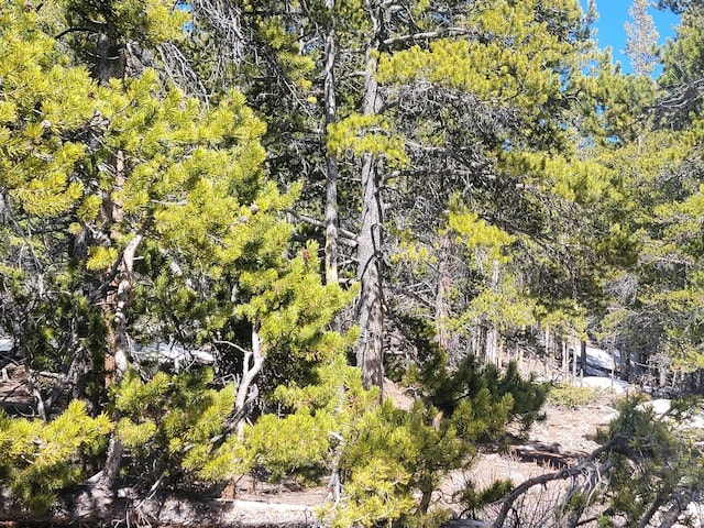 441 Gold Trail Trl, Fairplay, CO 80440