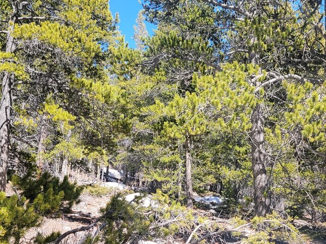 441 Gold Trail Trl, Fairplay, CO 80440