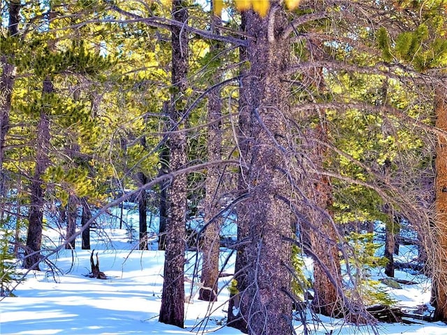 441 Gold Trail Trl, Fairplay, CO 80440