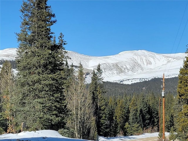 441 Gold Trail Trl, Fairplay, CO 80440