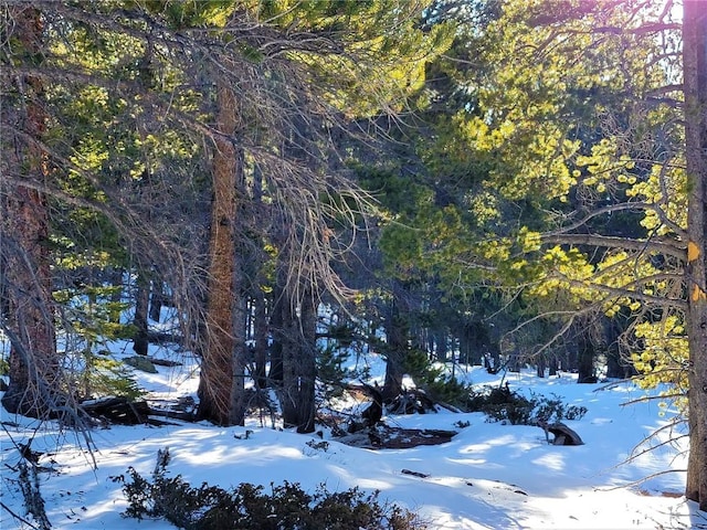 441 Gold Trail Trl, Fairplay, CO 80440