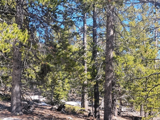 441 Gold Trail Trl, Fairplay, CO 80440