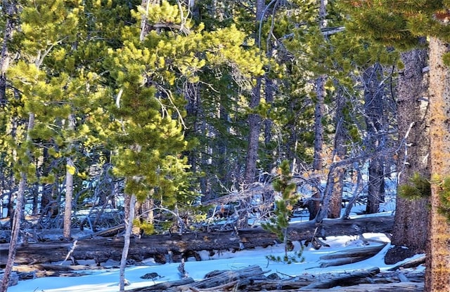 441 Gold Trail Trl, Fairplay, CO 80440