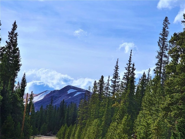 441 Gold Trail Trl, Fairplay, CO 80440