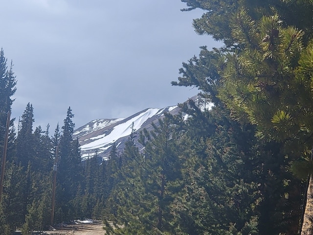 441 Gold Trail Trl, Fairplay, CO 80440