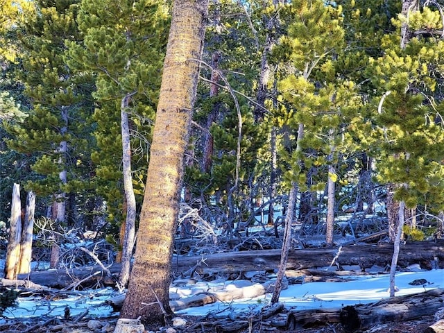 441 Gold Trail Trl, Fairplay, CO 80440