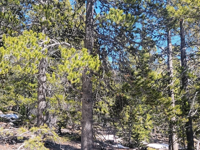 441 Gold Trail Trl, Fairplay, CO 80440