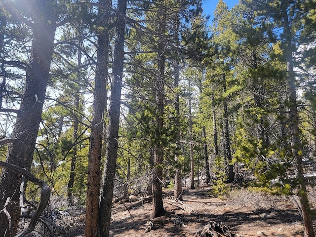 441 Gold Trail Trl, Fairplay, CO 80440