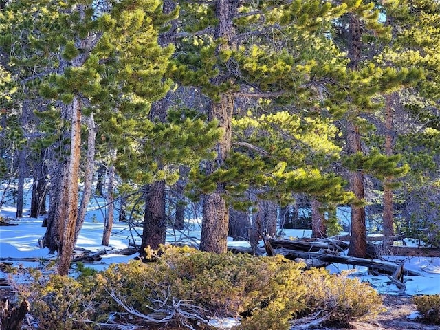 441 Gold Trail Trl, Fairplay, CO 80440