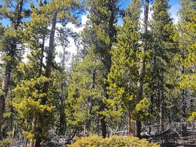 441 Gold Trail Trl, Fairplay, CO 80440