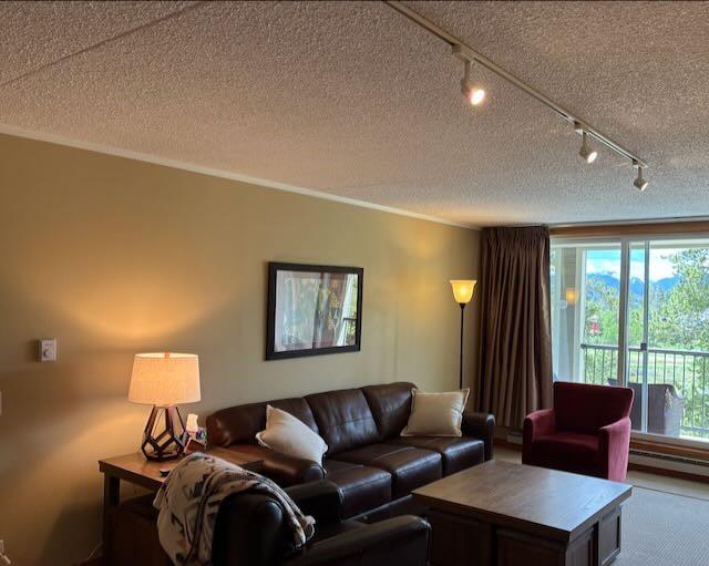 21640 US Highway 6 Unit 2122, Keystone, CO 80435 - living room with rail lighting, healthy amount of natural light, a textured ceiling, and ornamental molding