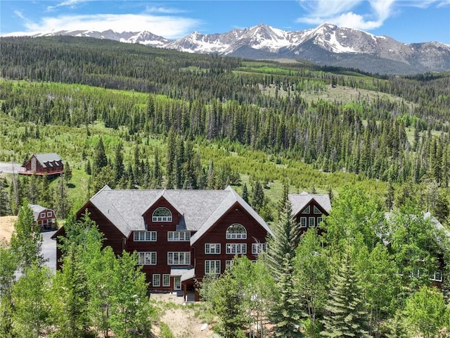 300 Gold Hill Rd, Breckenridge, CO 80424 - photo 40