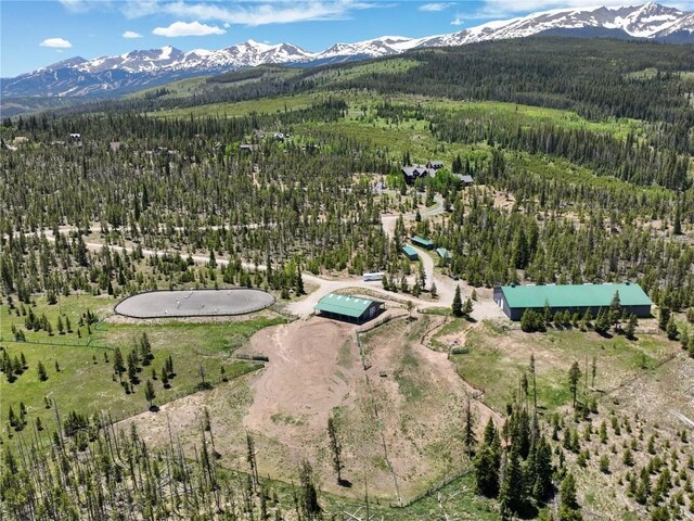 300 Gold Hill Rd, Breckenridge, CO 80424 - photo 13