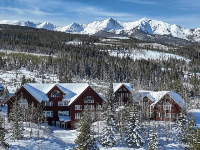 300 Gold Hill Rd, Breckenridge, CO 80424 - photo 4