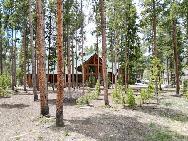 47 Forest Cir, Breckenridge, CO 80424 - view of yard