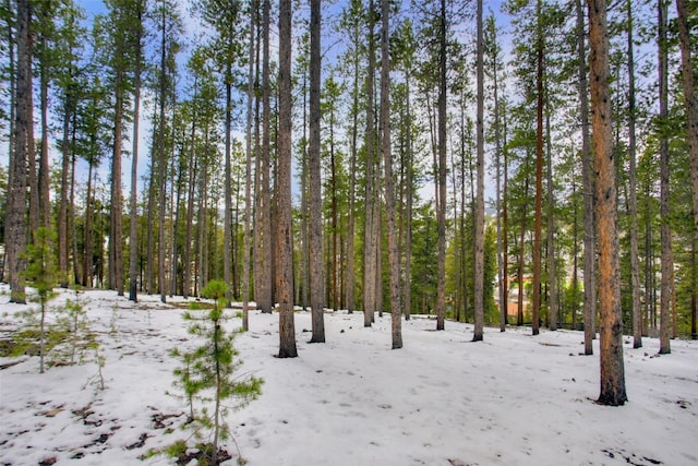 view of local wilderness featuring a view of trees