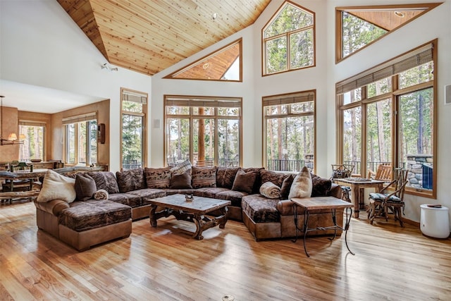 living area featuring high vaulted ceiling and wood finished floors