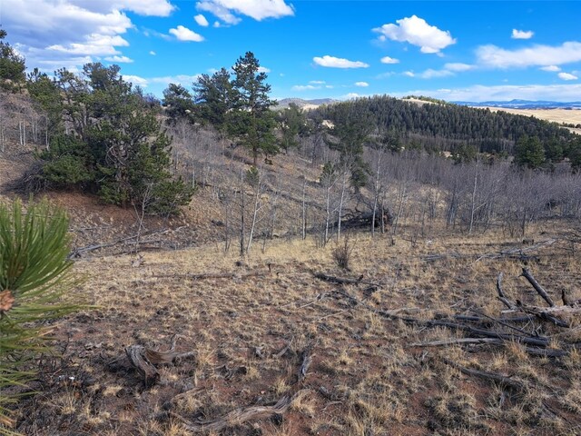 908 Raven Way, Como, CO 80432