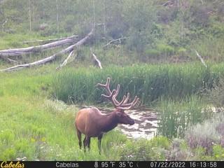 34240 S Long Ridge Dr, Toponas, CO 80479 - photo 13