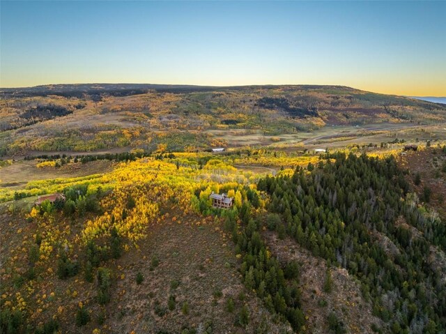 34240 S Long Ridge Dr, Toponas, CO 80479 - photo 3