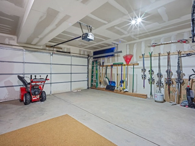 234 Peterson Dr, Alma, CO 80440 - garage featuring a garage door opener
