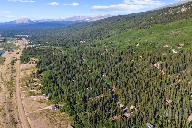 234 Peterson Dr, Alma, CO 80440 - photo 37