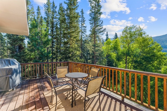 234 Peterson Dr, Alma, CO 80440 - photo 40