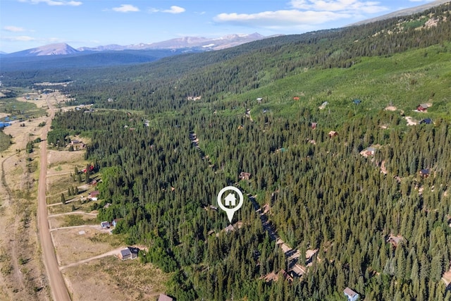 234 Peterson Dr, Alma, CO 80440 - photo 36