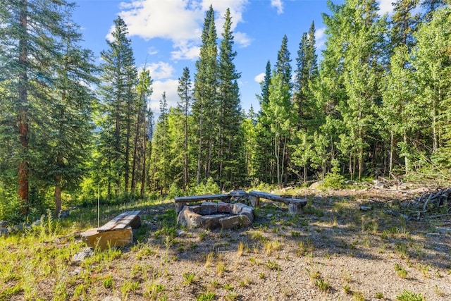 234 Peterson Dr, Alma, CO 80440 - photo 42