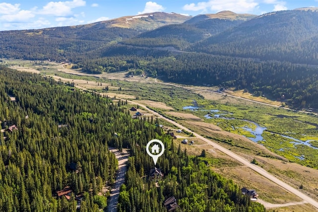234 Peterson Dr, Alma, CO 80440 - photo 30
