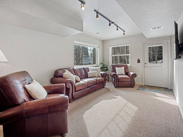 234 Peterson Dr, Alma, CO 80440 - living area with light carpet, rail lighting, and a textured ceiling