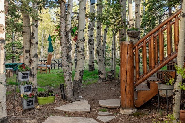 1996 Al Gulch Rd, Jefferson, CO 80456 - view of yard