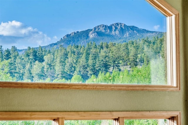 1996 Al Gulch Rd, Jefferson, CO 80456 - mountain view with a forest