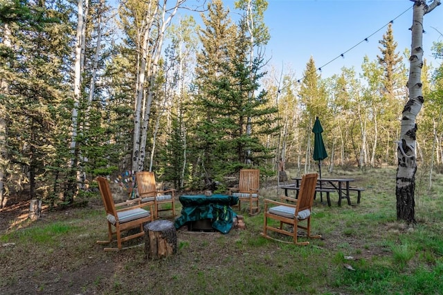 1996 Al Gulch Rd, Jefferson, CO 80456 - view of yard