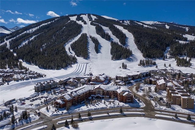 219 Wheeler Pl Unit 18, Copper Mountain, CO 80443 - photo 1