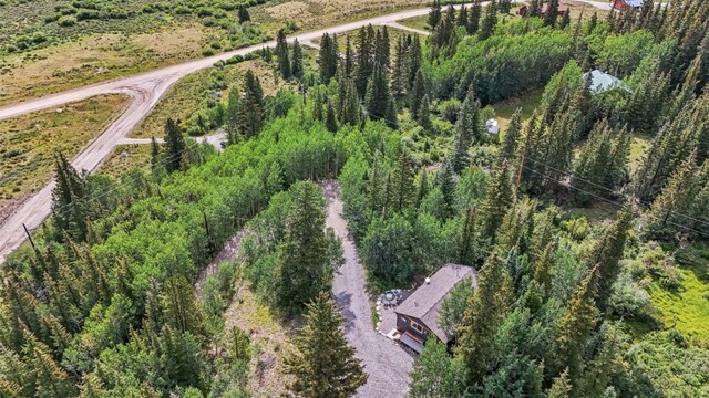 932 Peterson Dr, Alma, CO 80420 - aerial view