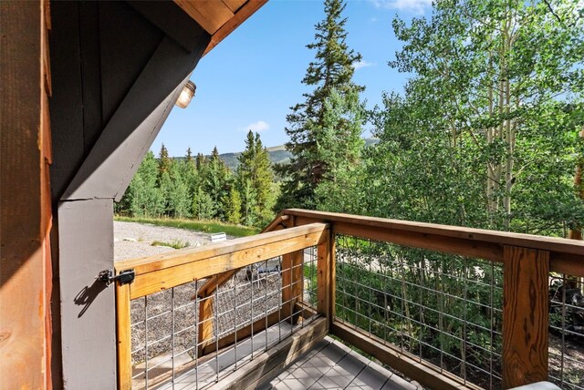 932 Peterson Dr, Alma, CO 80420 - view of balcony