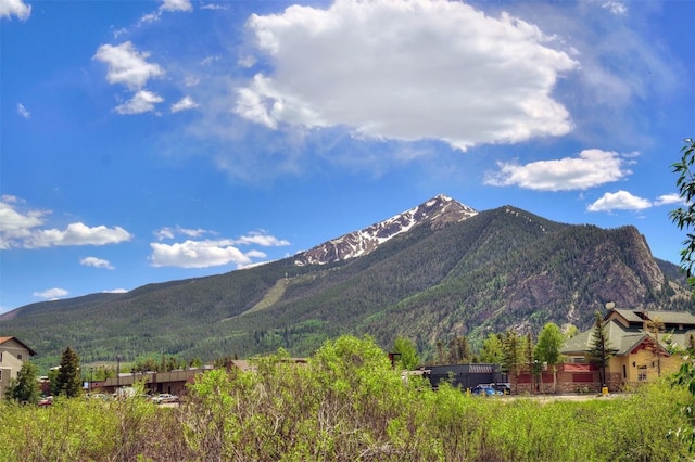 951 N Ten Mile Dr Unit C15, Frisco, CO 80443 - mountain view