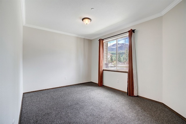 951 N Ten Mile Dr Unit C15, Frisco, CO 80443 - unfurnished room featuring crown molding and carpet flooring