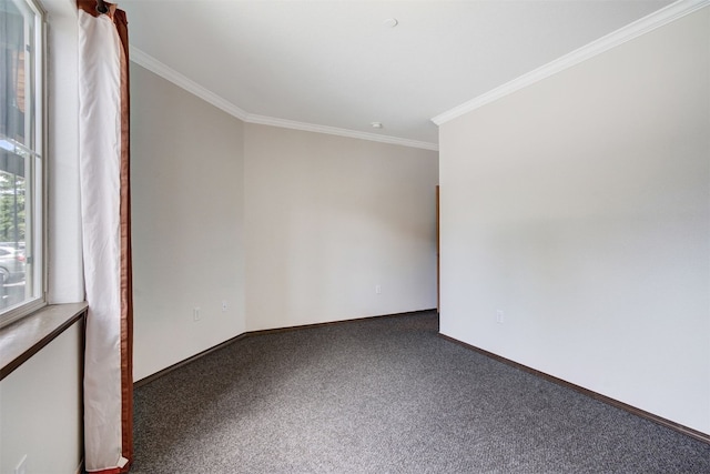 951 N Ten Mile Dr Unit C15, Frisco, CO 80443 - unfurnished room featuring ornamental molding and carpet