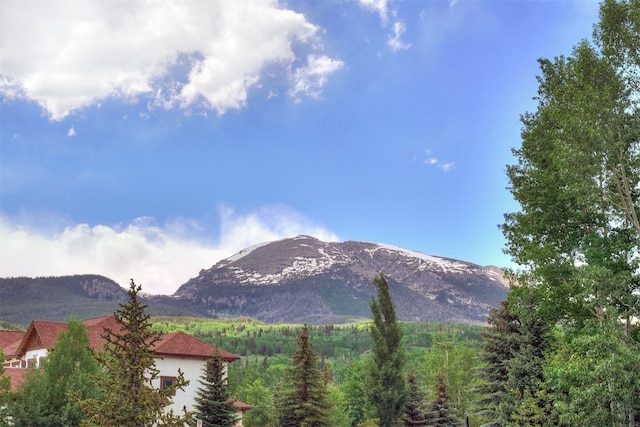 951 N Ten Mile Dr Unit C15, Frisco, CO 80443 - view of mountain background