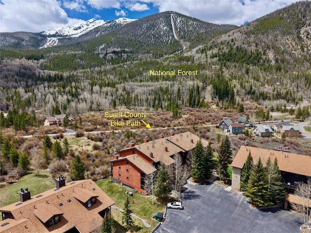 855 S 5th Ave Unit 296, Frisco, CO 80443 - view of mountain background with a heavily wooded area and nearby suburban area