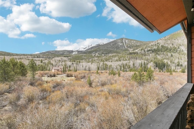 855 S 5th Ave Unit 296, Frisco, CO 80443 - mountain view