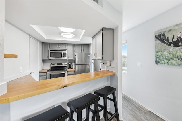 855 S 5th Ave Unit 296, Frisco, CO 80443 - kitchen with stainless steel appliances, gray cabinets, a raised ceiling, a peninsula, and baseboards