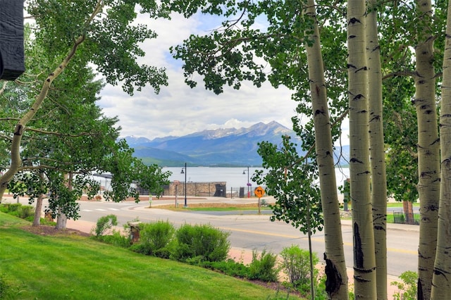 112 E Ln Bonte St Unit 107, Dillon, CO 80435 - photo 3